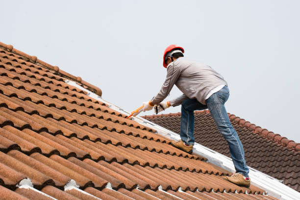 Fast & Reliable Emergency Roof Repairs in Brandon, FL