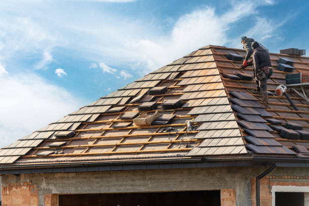 Trusted Brandon, FL Roofing service Experts