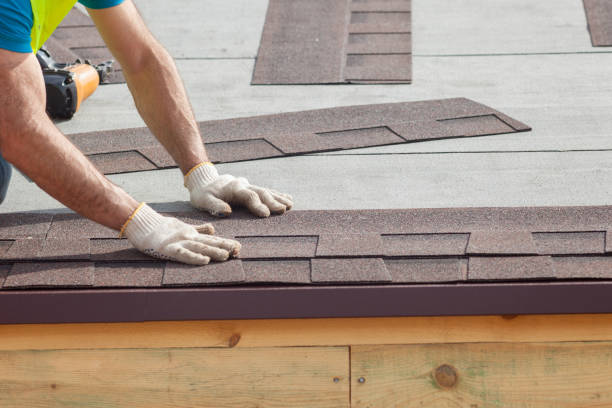 Best Asphalt Shingle Roofing  in Brandon, FL